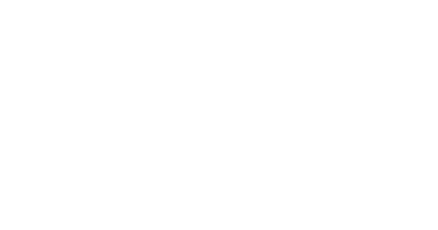 zulas shih tzu of maine (3) (1)