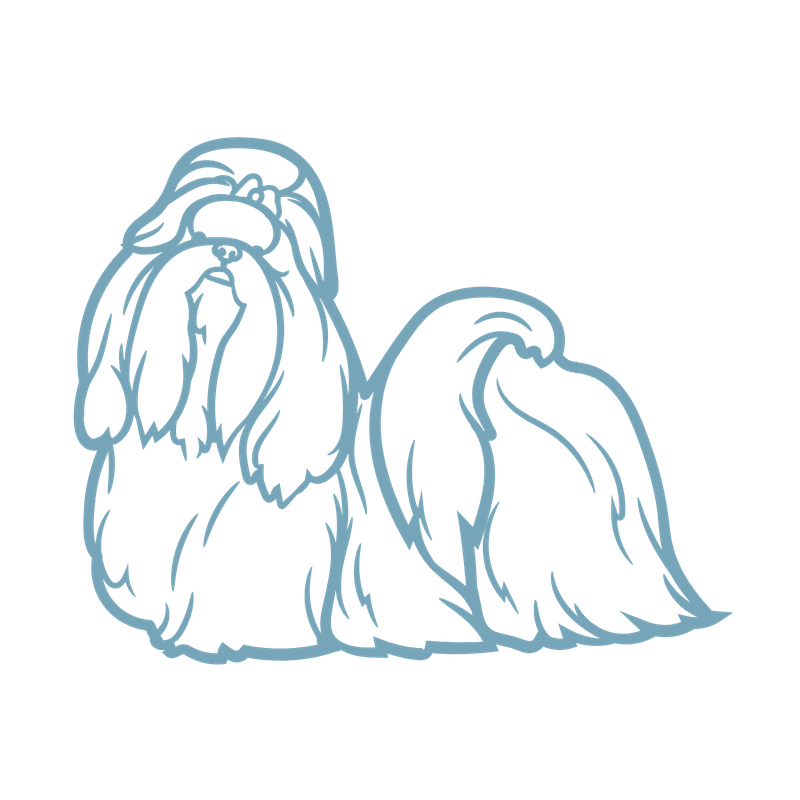 zulas shih tzu of maine Zulas Shih Tzu of Maine
