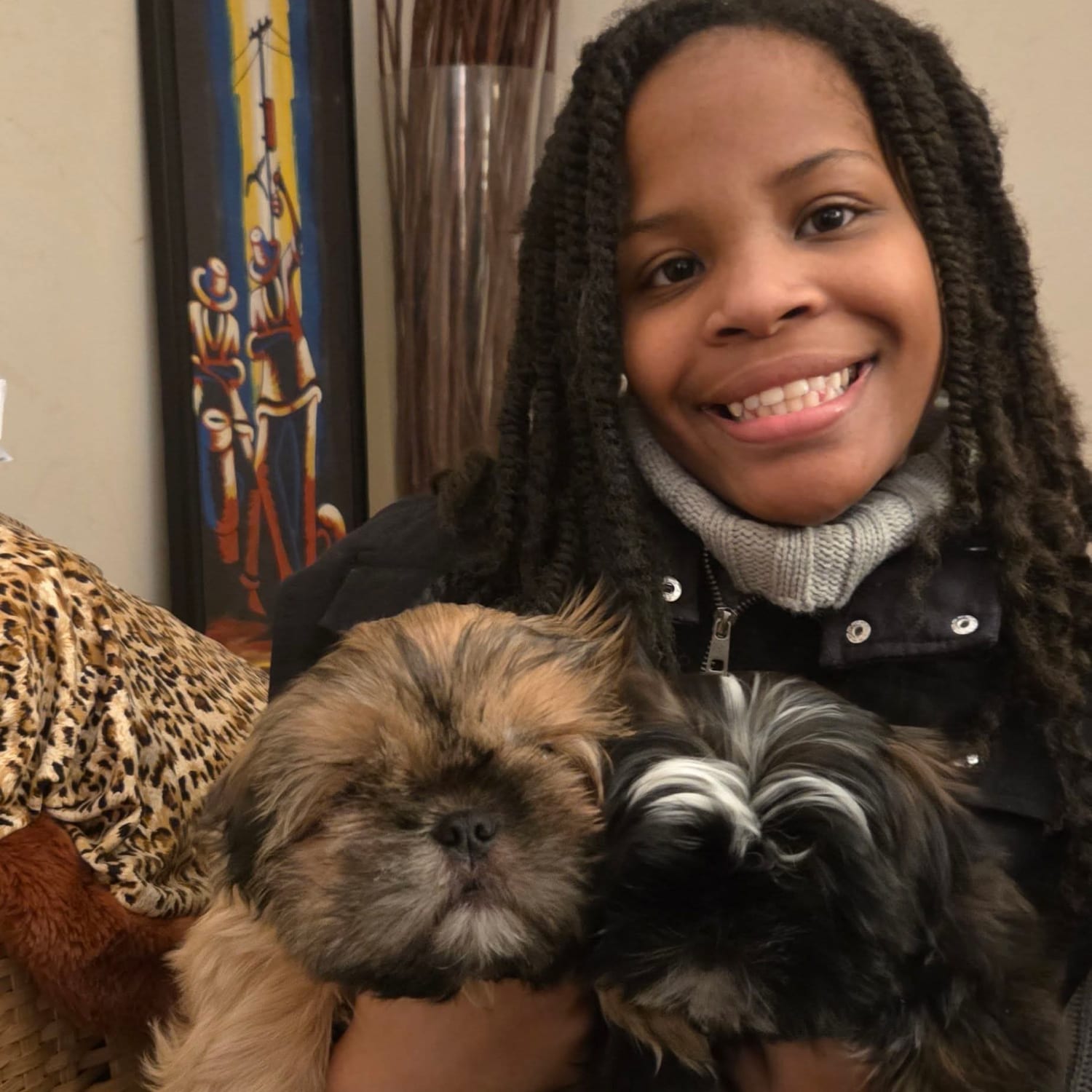 zulas shih tzu of maine Zulas Shih Tzu of Maine
